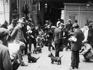 1915 Dog Show