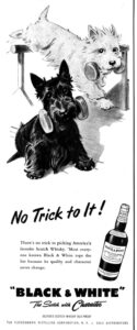 Black & White whiskey ad