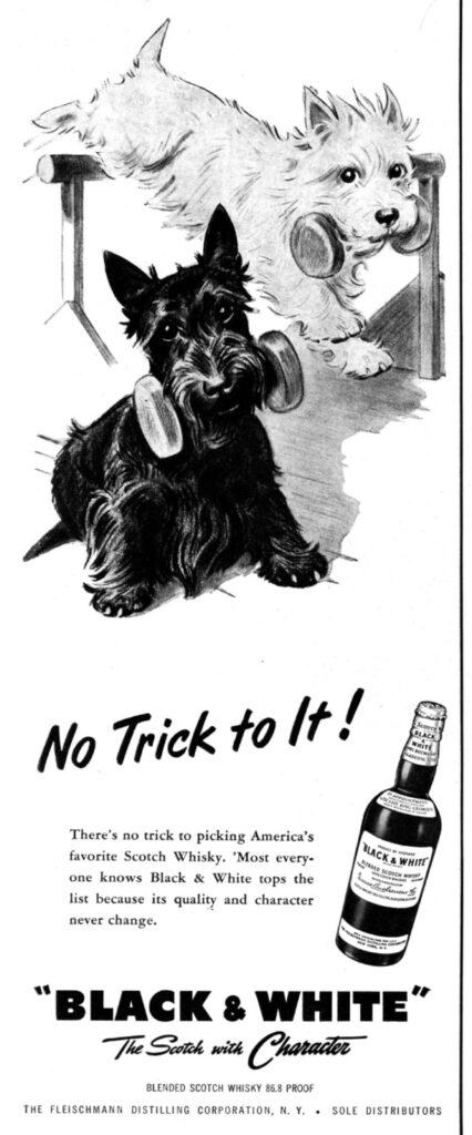 Black & White whiskey ad