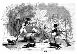 Badger Hunting