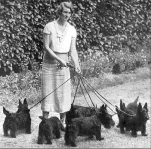Lady with Scotties