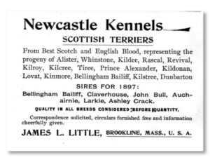 Newcastle Kennels Ad
