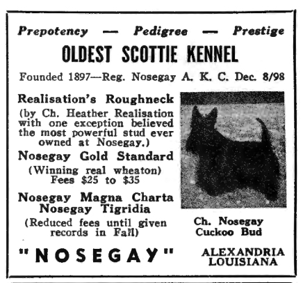 Nosegay Kennel AD