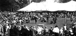 Old Dog Show