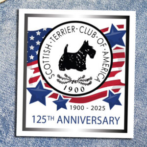 125th STCA Anniversary Pin