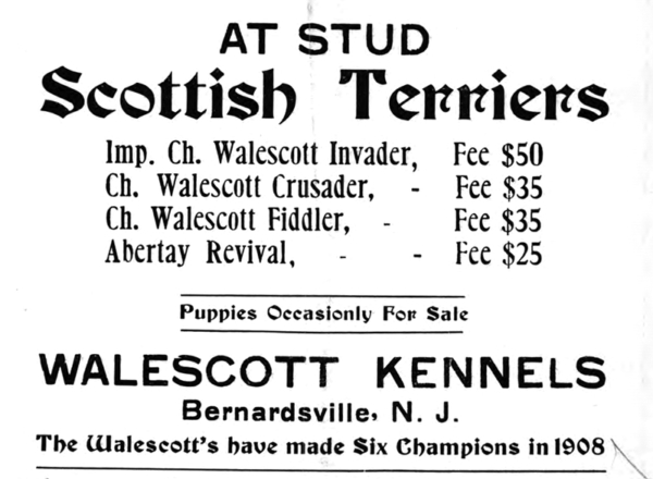 Walescott Kennel Ad