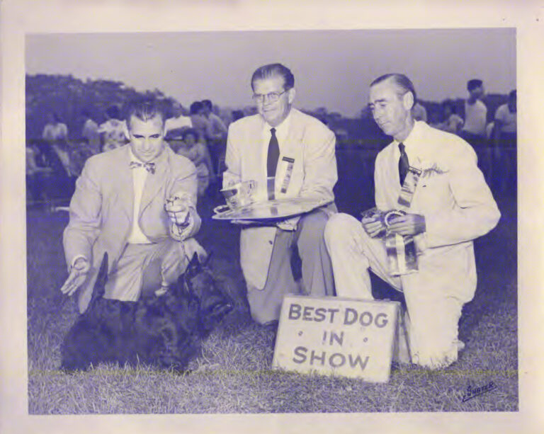 Champion_shielings_keynoter_berks_county_k_c_september_14_1952_owner_handler_howard_snethen-1-scaled